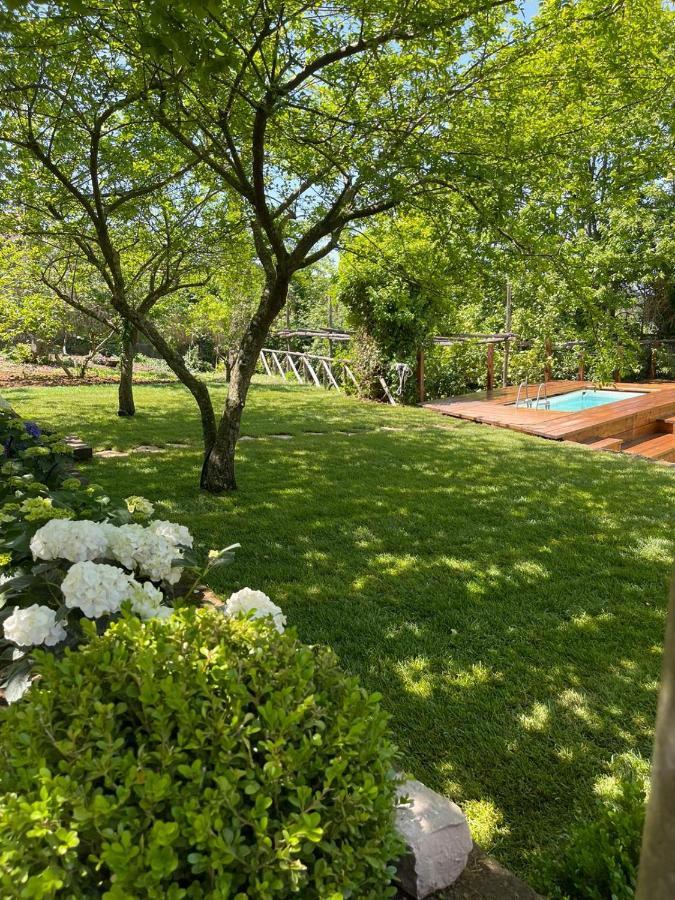 Villa Spartano Sant'Agata Sui Due Golfi Massalubrense Massa Lubrense Dış mekan fotoğraf